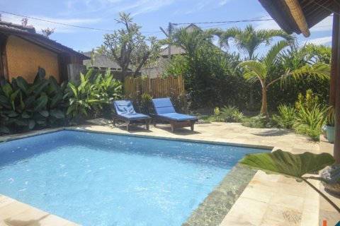 12 bedrooms Villa in Lovina, Anturan, Buleleng, Indonesia No. 11629 15