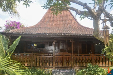 12 bedrooms Villa in Lovina, Anturan, Buleleng, Indonesia No. 11629 9