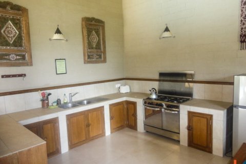 12 bedrooms Villa in Lovina, Anturan, Buleleng, Indonesia No. 11629 24