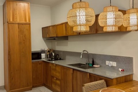 Вилла с 2 спальнями в Tibubeneng, Бадунг, Индонезия № 11017 4