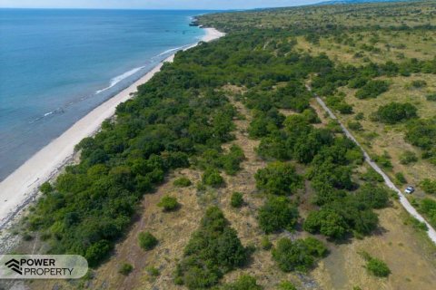 4000m2 Land in  No. 9335 6