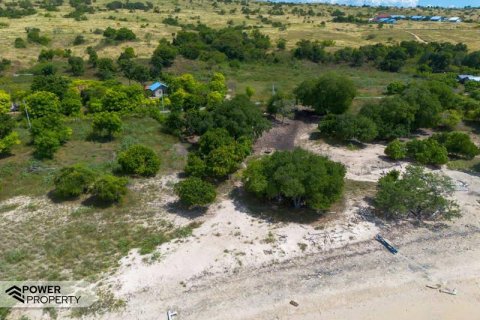 4000m2 Land in  No. 9335 14