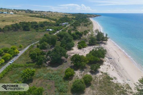 4000m2 Land in  No. 9335 11