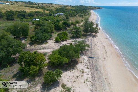 4000m2 Land in  No. 9335 13