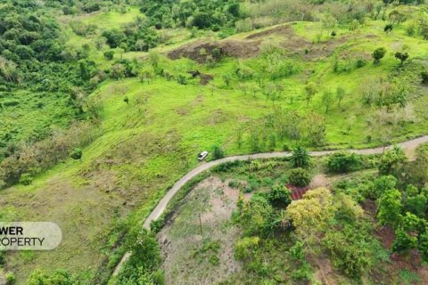 12392m2 Land in  No. 9339 6