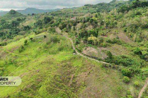 12392m2 Land in  No. 9339 4