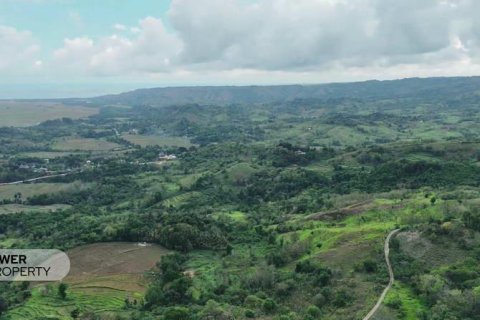 12392m2 Land in  No. 9339 3