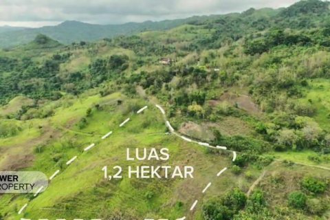 12392m2 Land in  No. 9339 1