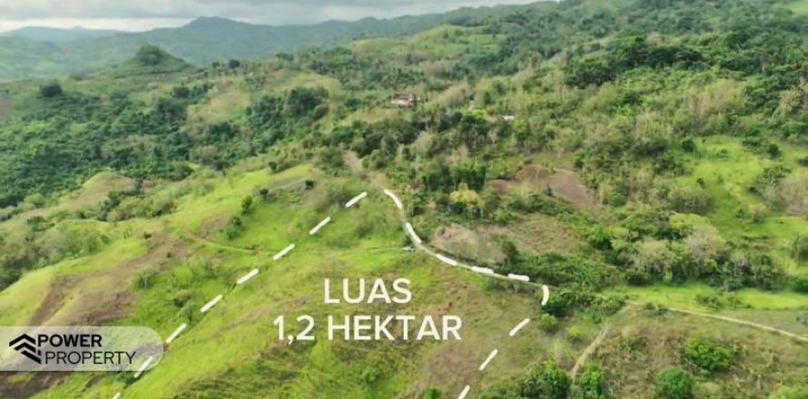 12392m2 Land in  No. 9339