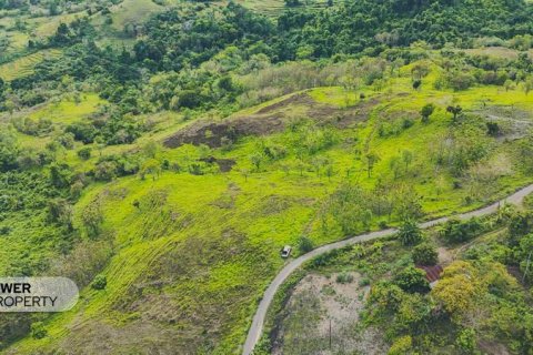 12392m2 Land in  No. 9339 7