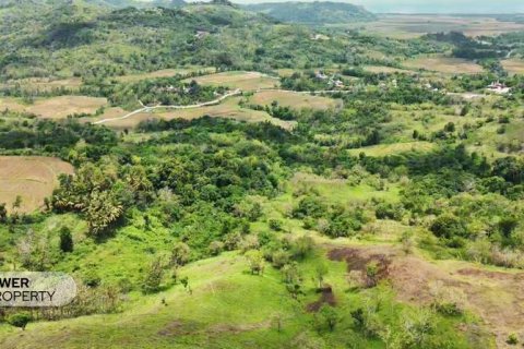 12392m2 Land in  No. 9339 5