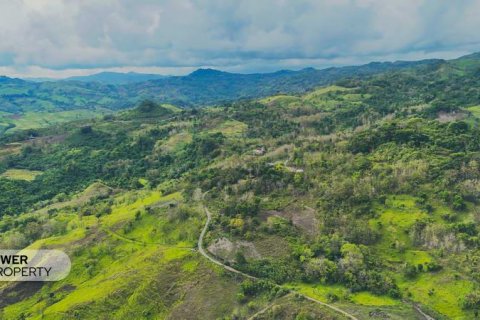 12392m2 Land in  No. 9339 8