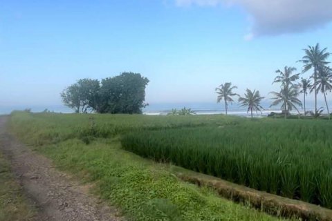 850m2 Land in Tabanan, Indonesia No. 9749 3