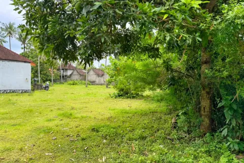 Земельный участок в Nusa Penida, Клунгкунг, Индонезия № 10397 2