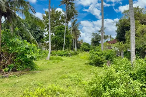 Земельный участок в Nusa Penida, Клунгкунг, Индонезия № 10397 7