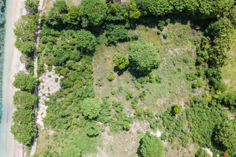 Land in Indonesia No. 11134 8