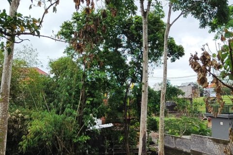 Земельный участок 700м2 в Canggu, Бадунг, Индонезия № 11139 2