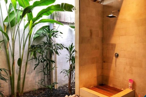 Вилла с 2 спальнями в Seminyak, Бадунг, Индонезия № 11136 13