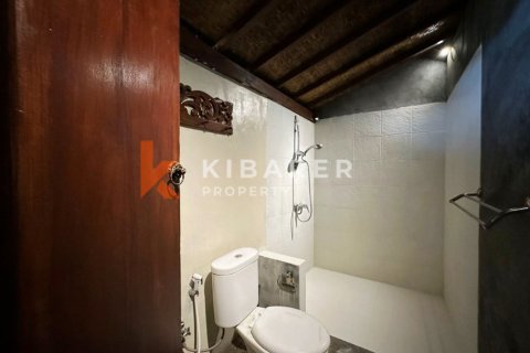 2 bedrooms Villa in Mengwi, Badung, Indonesia No. 12838 23