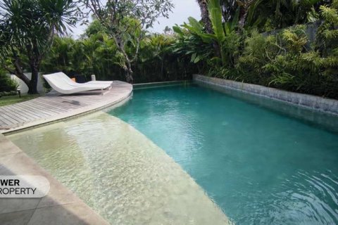 2 bedrooms Villa in Seminyak, Badung,  No. 9263 3