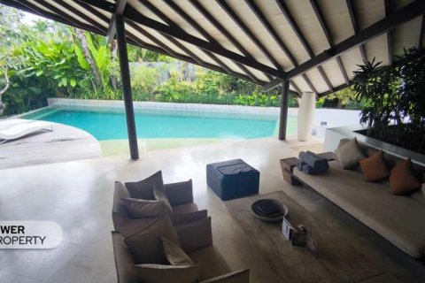 2 bedrooms Villa in Seminyak, Badung,  No. 9263 20