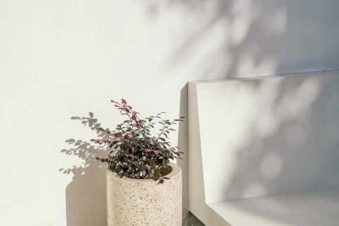 3 bedrooms Villa in Canggu, Badung,  No. 9261 17