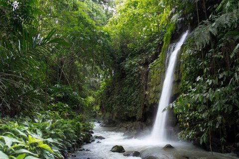 ЖК Serenity Villas в Убуд, Гианьяр, Индонезия № 9847 13