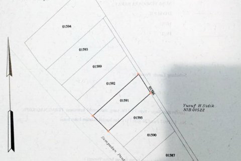 Земельный участок в Индонезии № 11693 3
