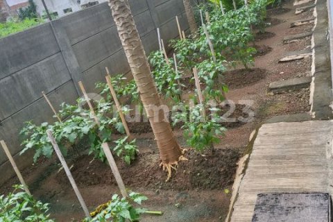 Дом с 2 спальнями в Cengkareng, Джакарта,  № 6489 30