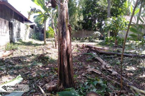 Земельный участок 5270м2 в Tabanan, Табанан, № 9118 7