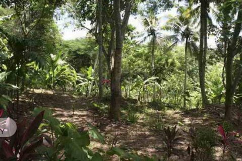 5650m2 Land in Tabanan, No. 9120 9
