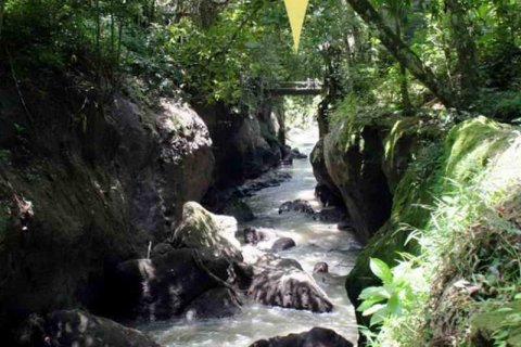 5650m2 Land in Tabanan, No. 9120 10