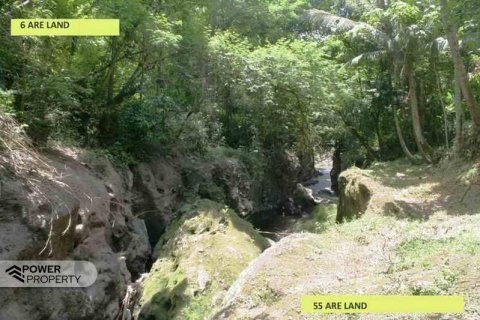 5650m2 Land in Tabanan, No. 9120 4