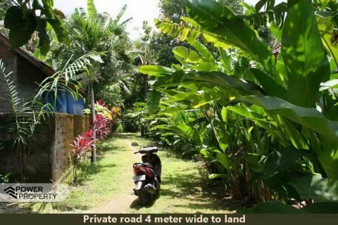 5650m2 Land in Tabanan, No. 9120 5