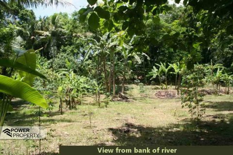 5650m2 Land in Tabanan, No. 9120 1