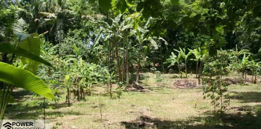 5650m2 Land in Tabanan, No. 9120