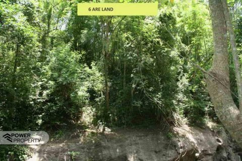 5650m2 Land in Tabanan, No. 9120 7
