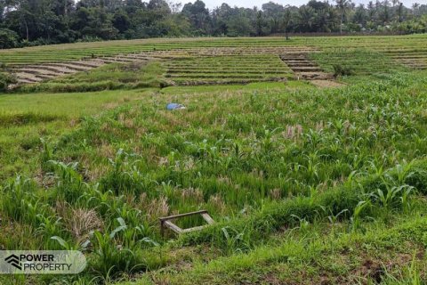 2100m2 Land in Tabanan, No. 9117 1