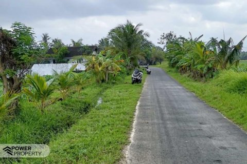 2100m2 Land in Tabanan, No. 9117 3