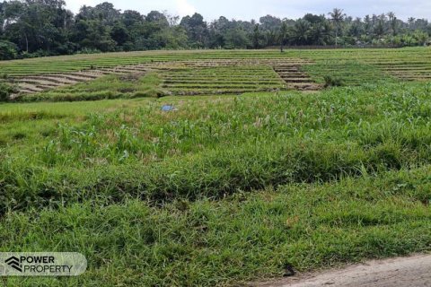 2100m2 Land in Tabanan, No. 9117 2