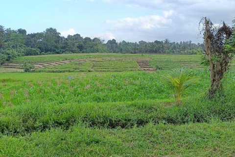 2100m2 Land in Tabanan, No. 9117 4