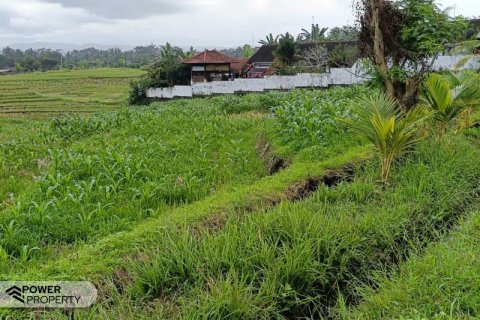 2100m2 Land in Tabanan, No. 9117 5