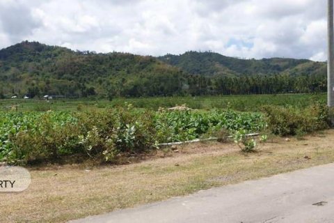 1992m2 Land in No. 9119 6