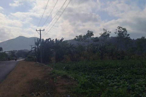 1992m2 Land in No. 9119 1