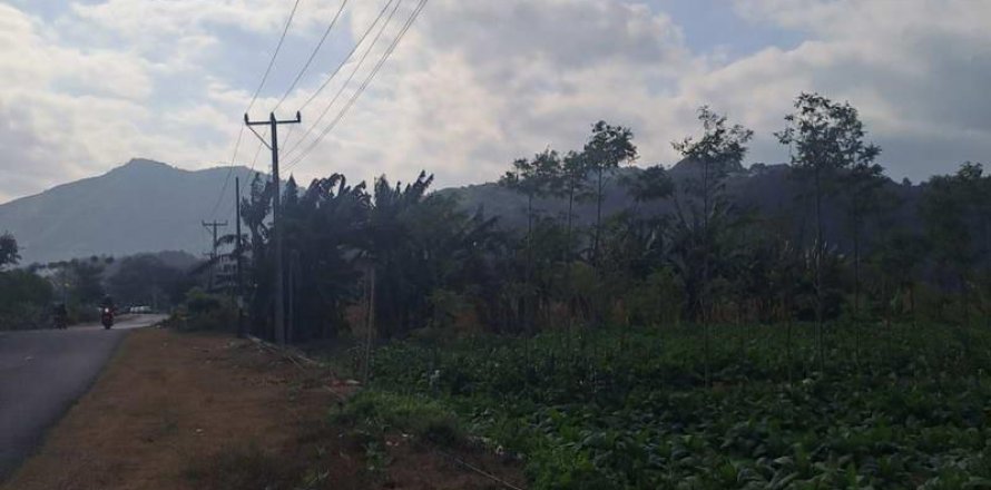 1992m2 Land in No. 9119