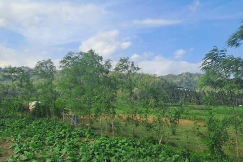 1992m2 Land in No. 9119 4