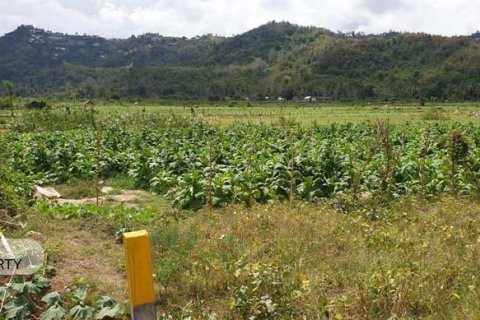 1992m2 Land in No. 9119 9