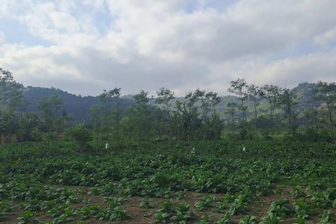 1992m2 Land in No. 9119 3