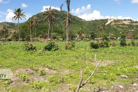 1992m2 Land in No. 9119 7