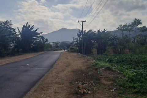 1992m2 Land in No. 9119 5